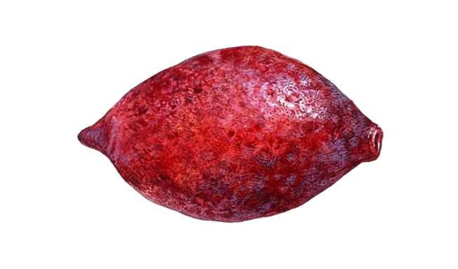 اللوز حساوي