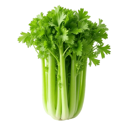 كرفس