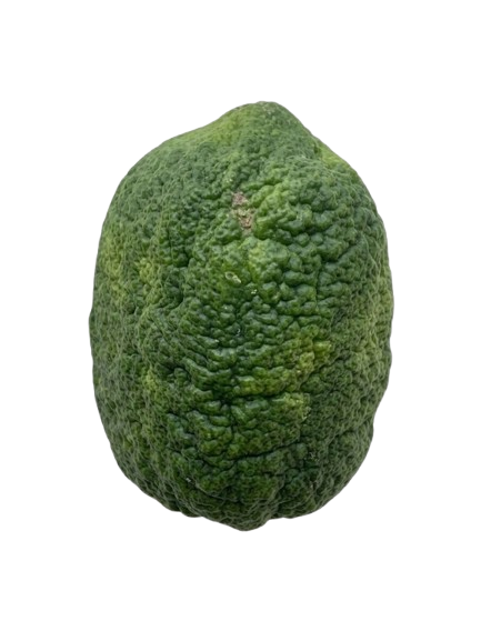الأُتْرُجّ