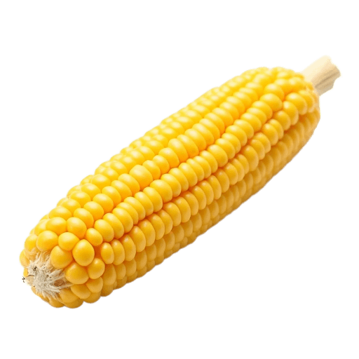 ذرة
