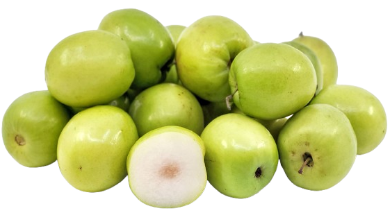 النَّبِق