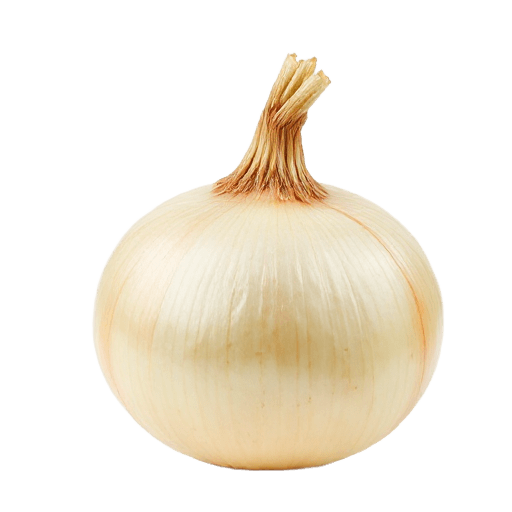 بصل