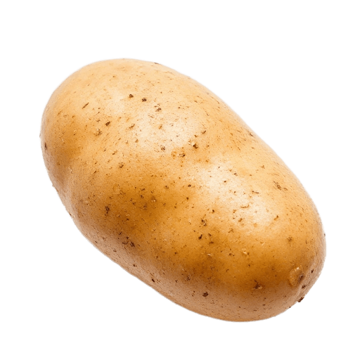 بطاطس