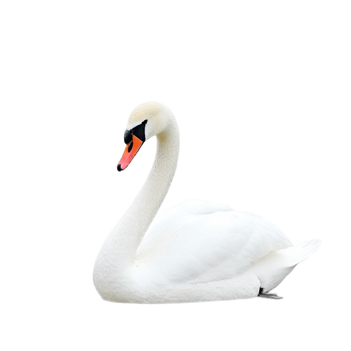 بجعة