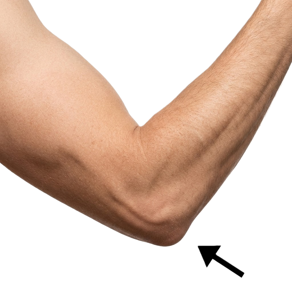 مرفقي