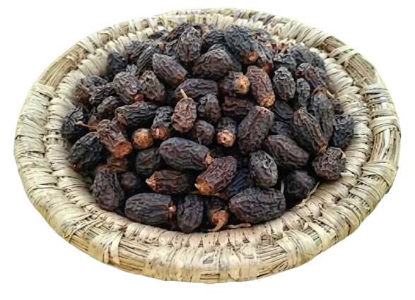 سلوق ميّبس