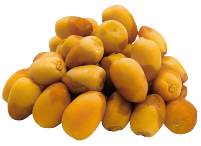 الرُّطَب
